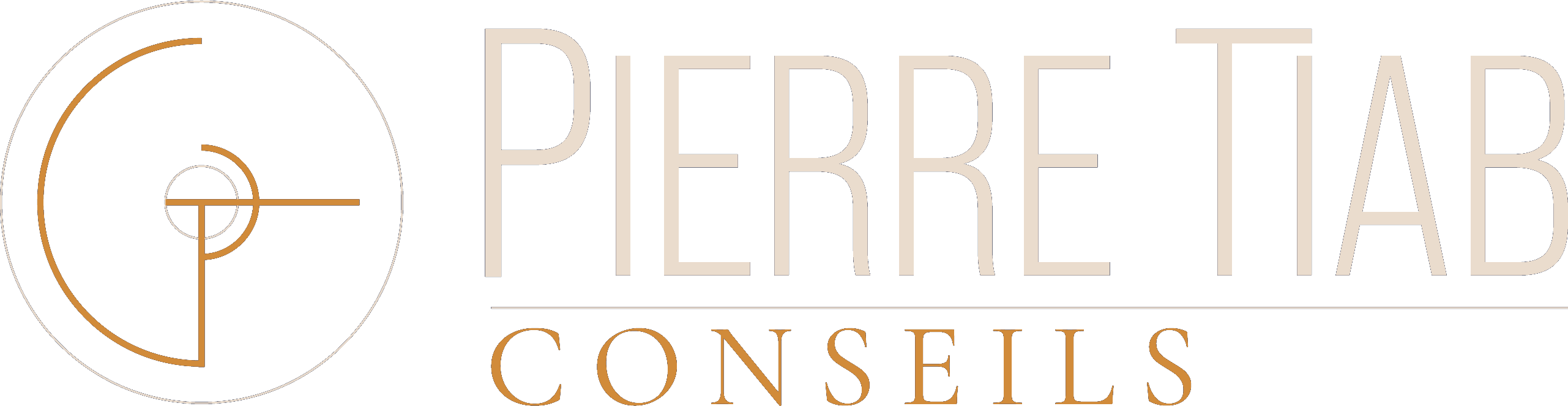 Pierre Tiab Conseils